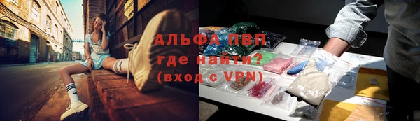 шишки Иннополис