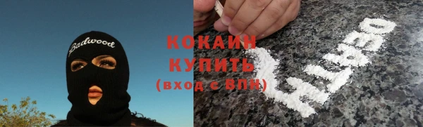 винт Каменка