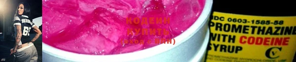 шишки Иннополис