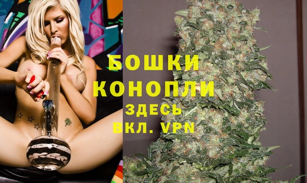 шишки Иннополис