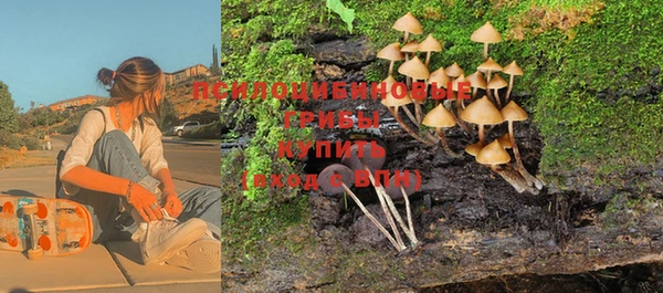 mix Инсар