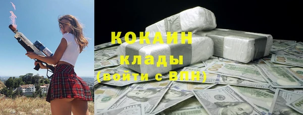 шишки Иннополис