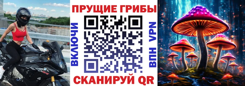Галлюциногенные грибы прущие грибы  Купить где  Корсаков 
